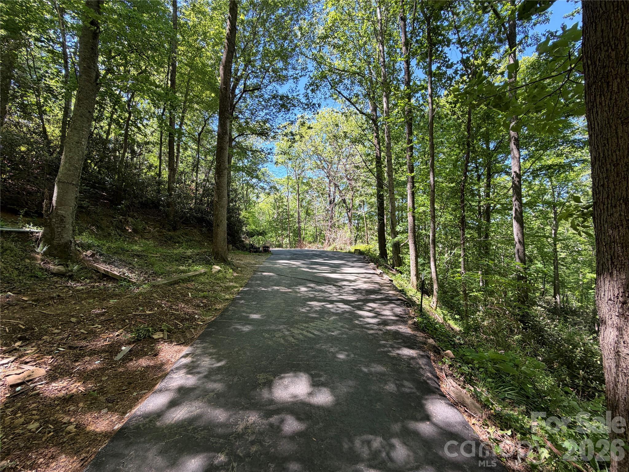 25 Buck Ridge Road Fairview NC 28730