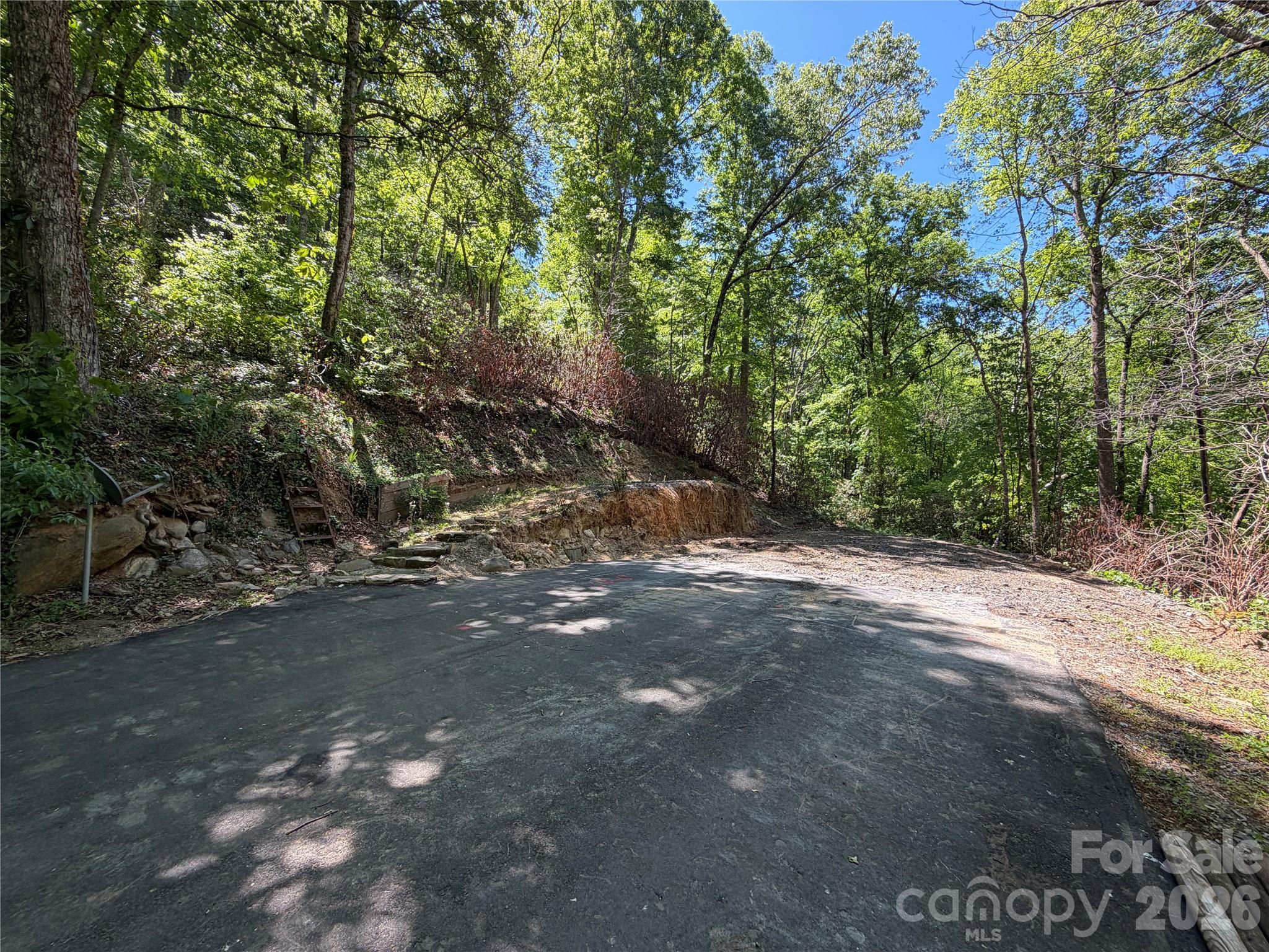 25 Buck Ridge Road Fairview NC 28730