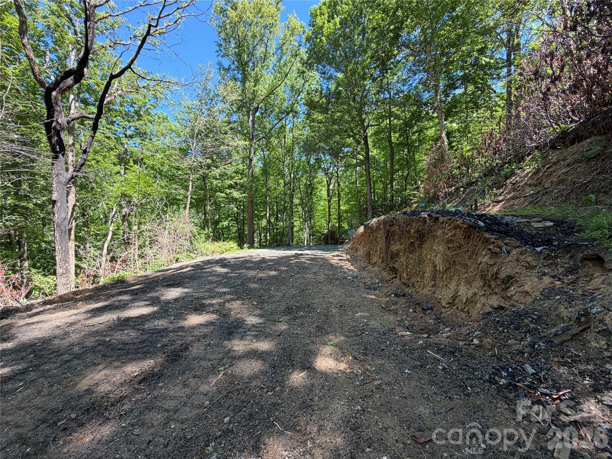 25 Buck Ridge Road Fairview NC 28730