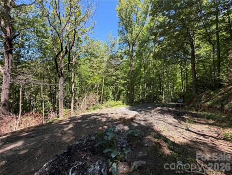 25 Buck Ridge Road Fairview NC 28730