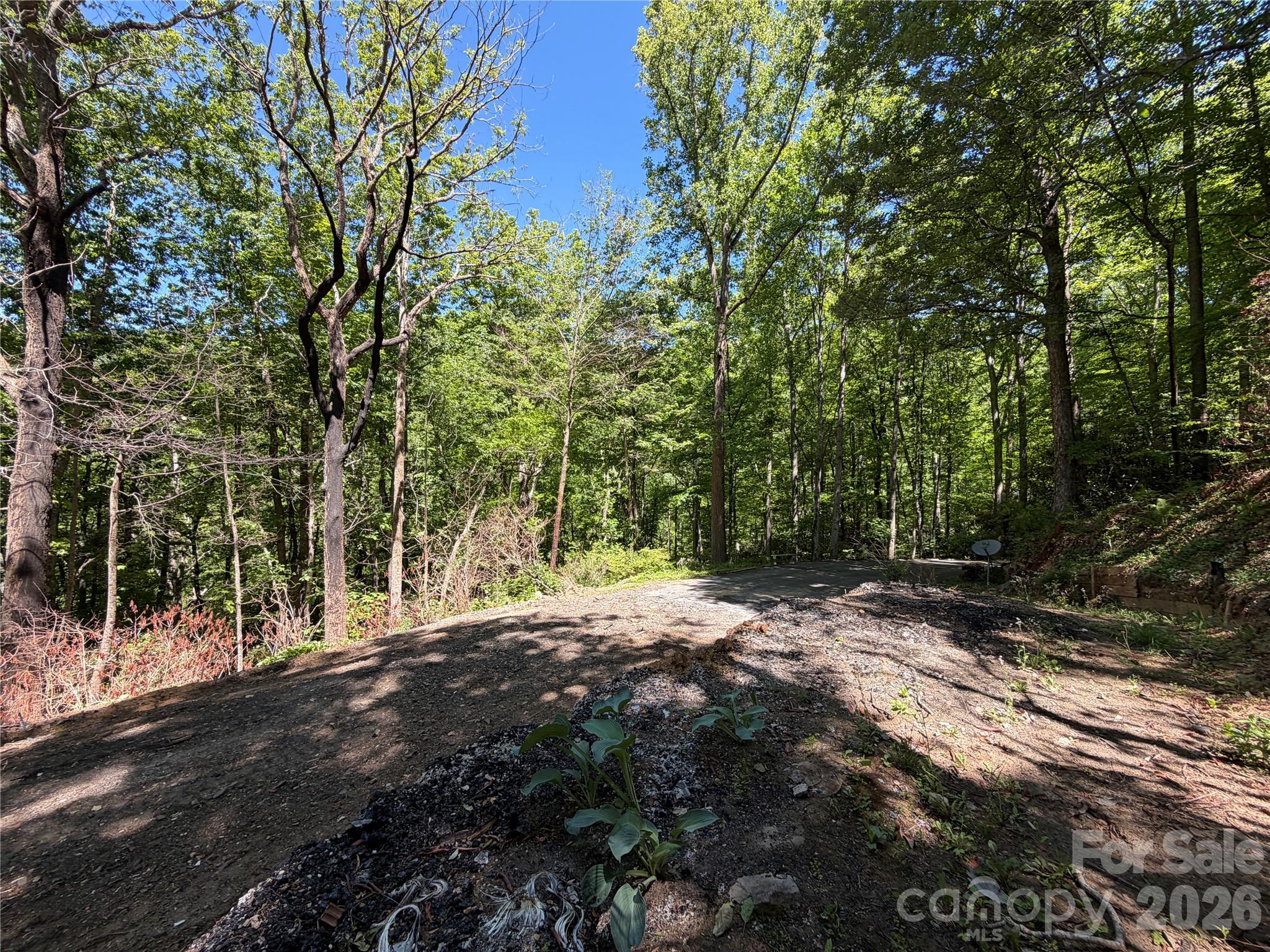 25 Buck Ridge Road Fairview NC 28730