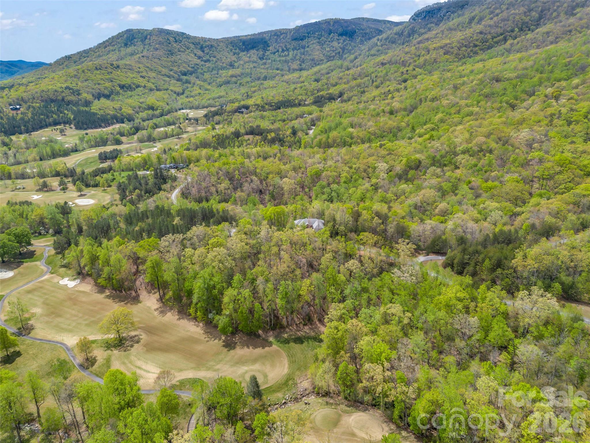 112 Deep Gap Farm Road E Mill Spring NC 28756
