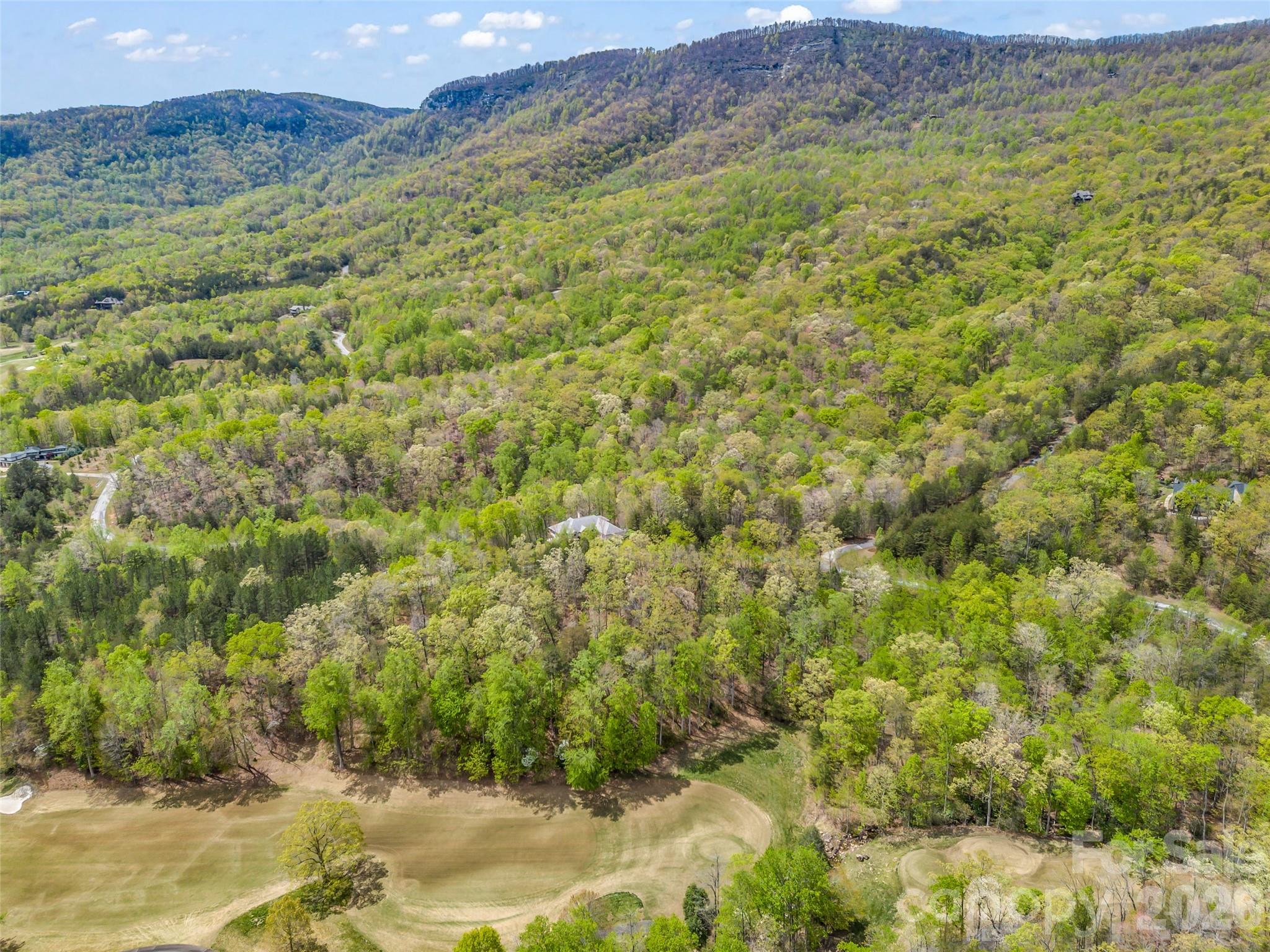 112 Deep Gap Farm Road E Mill Spring NC 28756