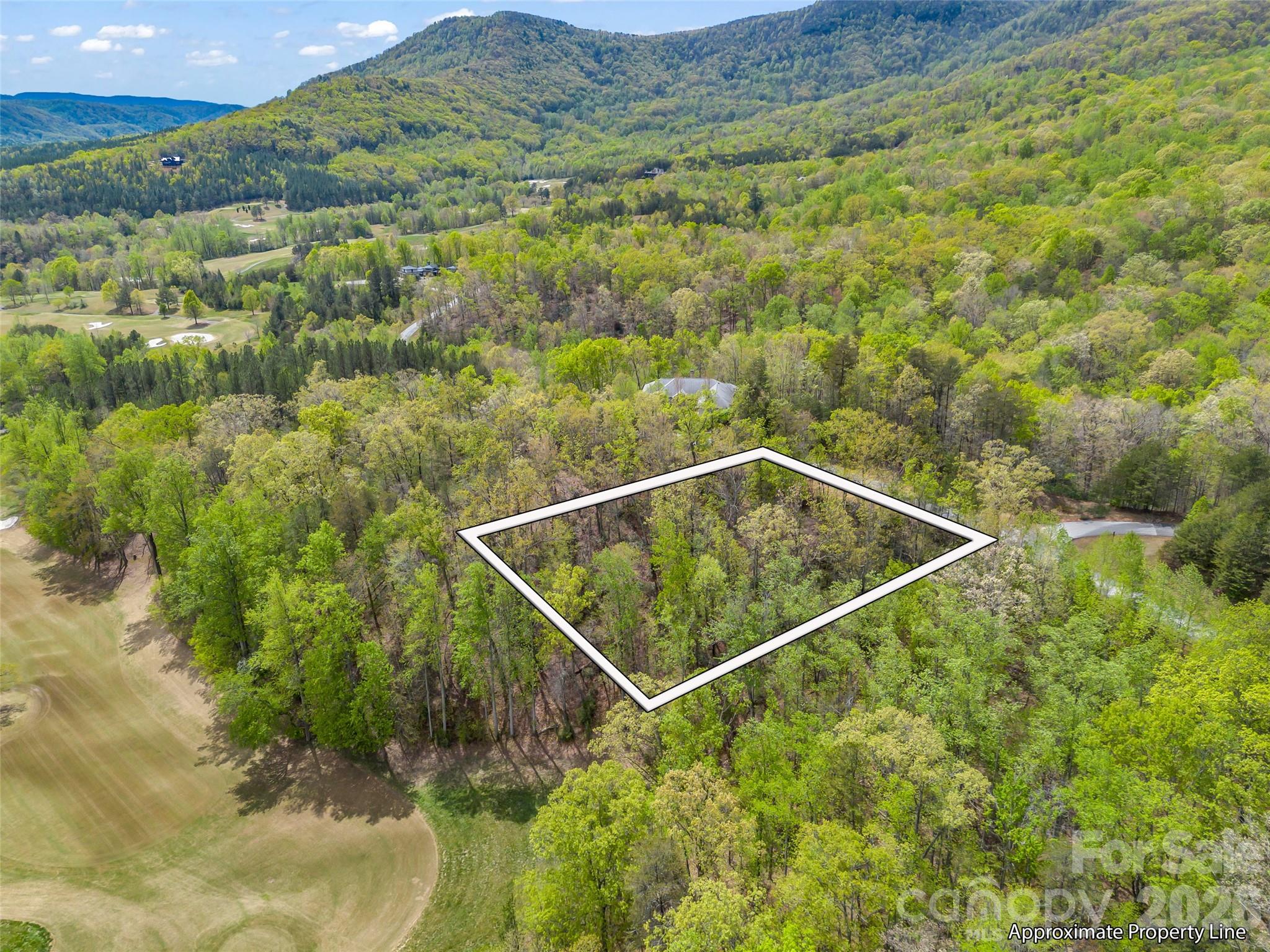 112 Deep Gap Farm Road E Mill Spring NC 28756