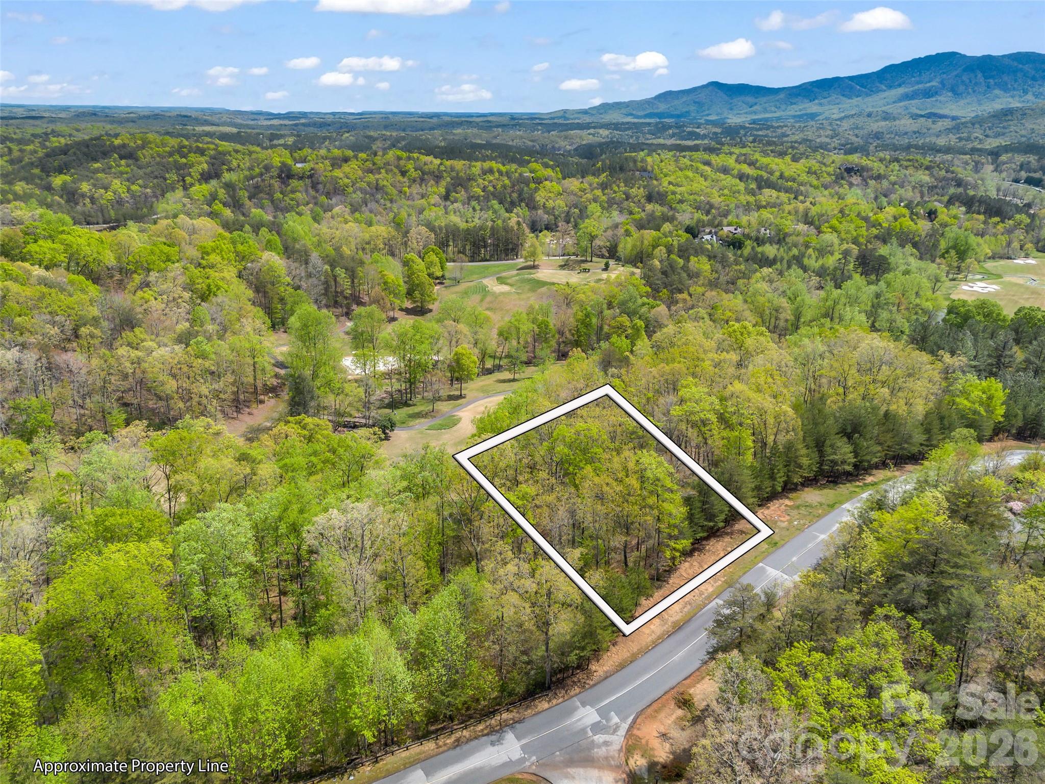 112 Deep Gap Farm Road E Mill Spring NC 28756