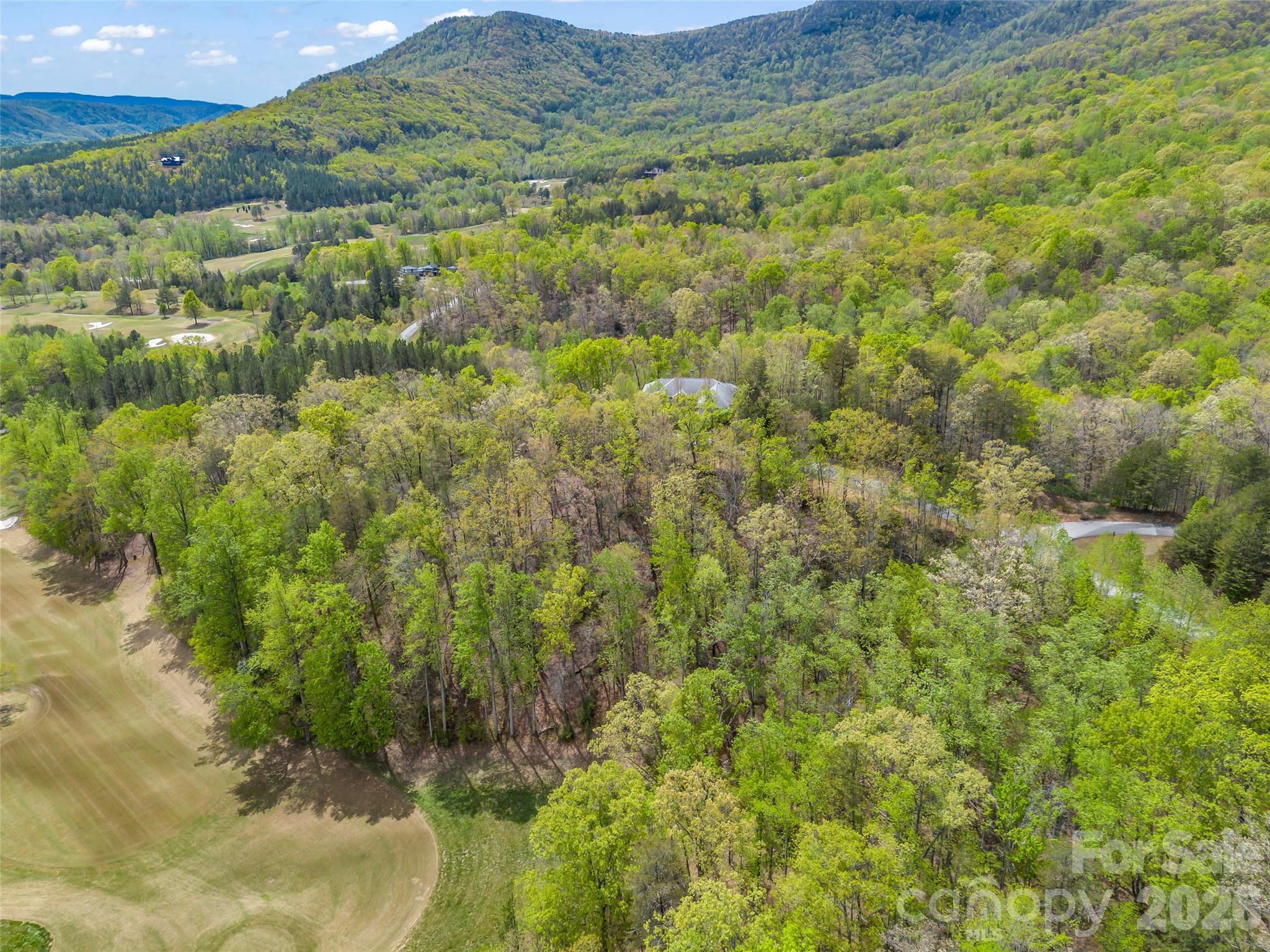112 Deep Gap Farm Road E Mill Spring NC 28756