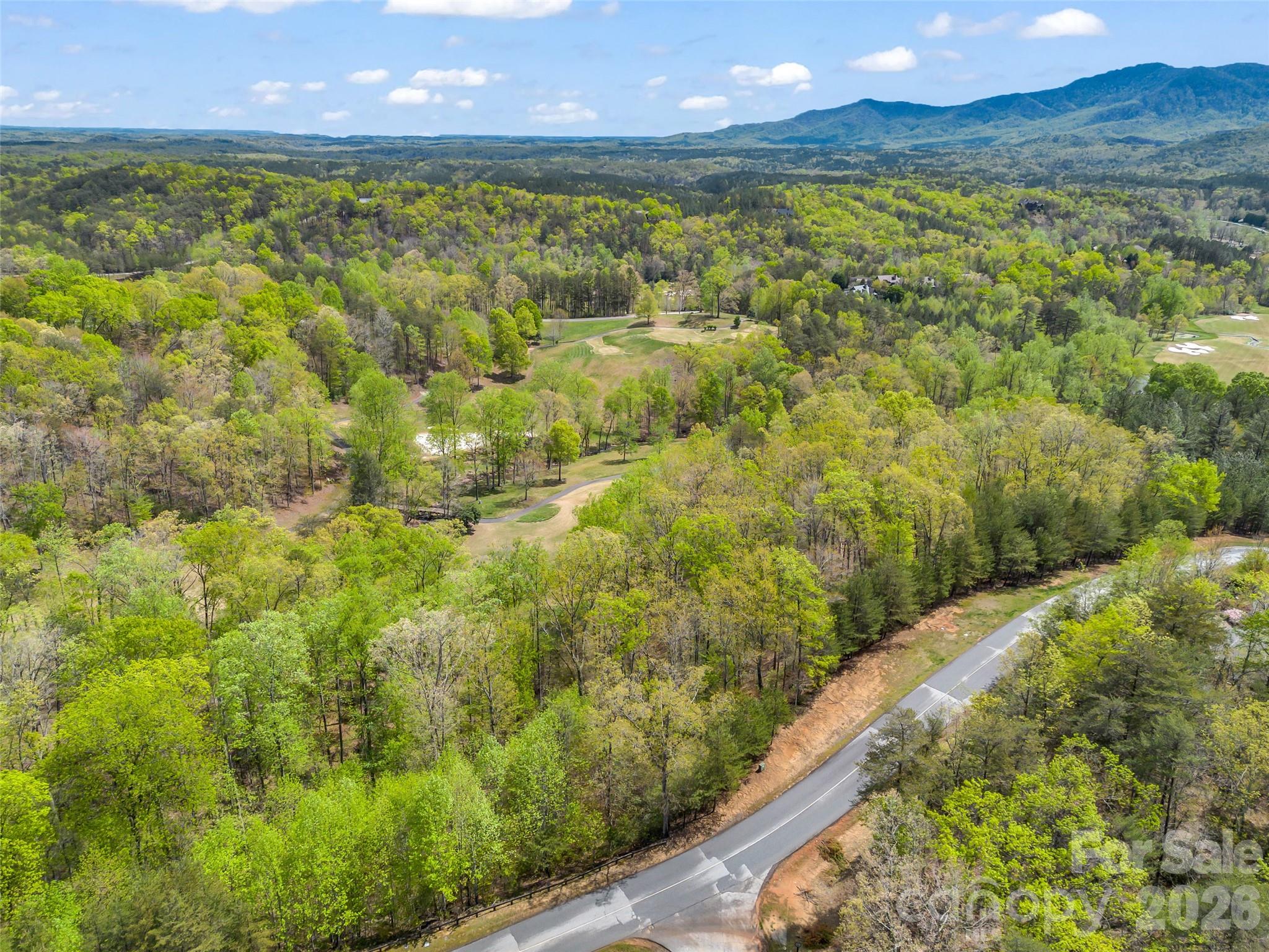 112 Deep Gap Farm Road E Mill Spring NC 28756