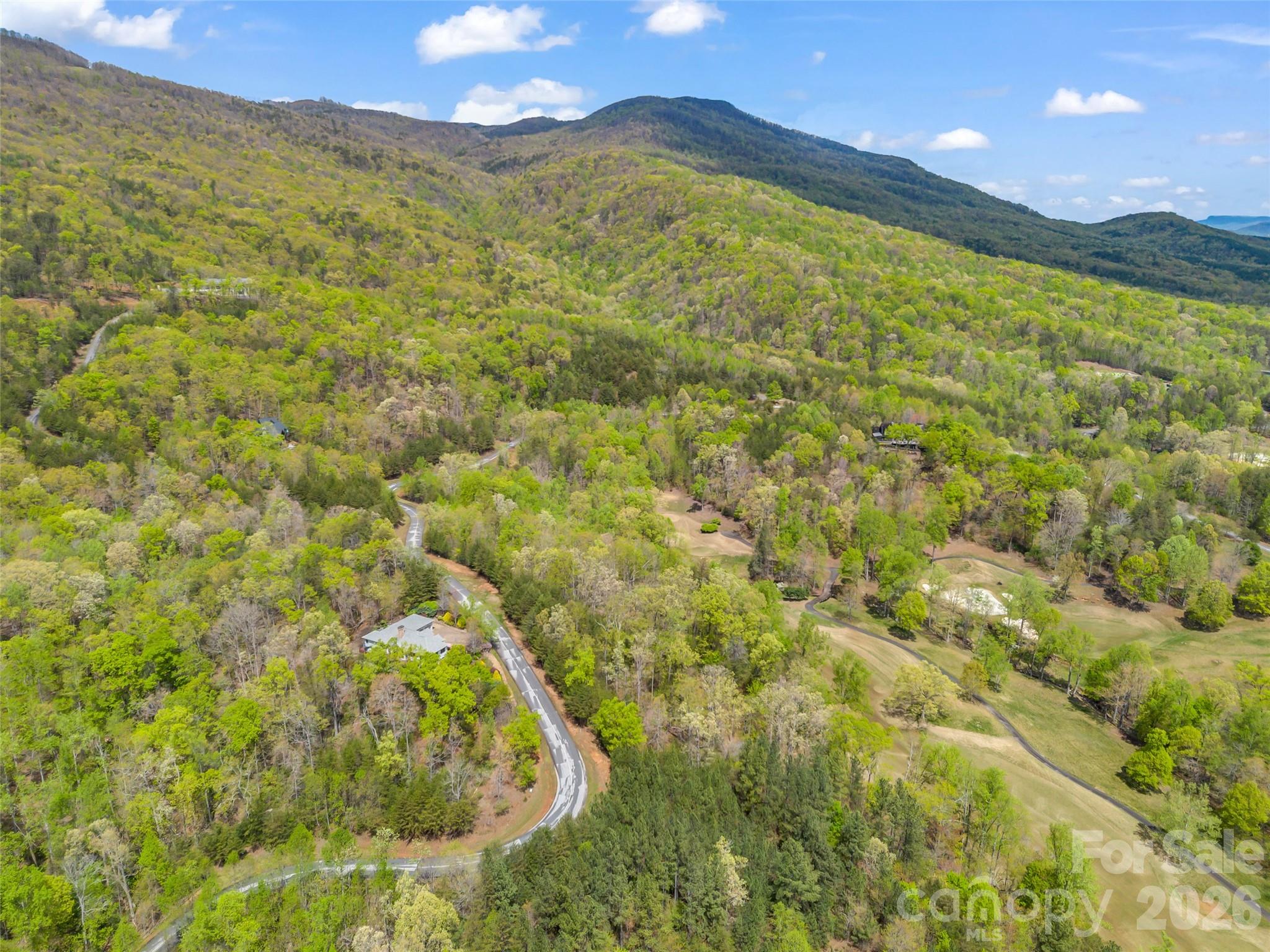 112 Deep Gap Farm Road E Mill Spring NC 28756