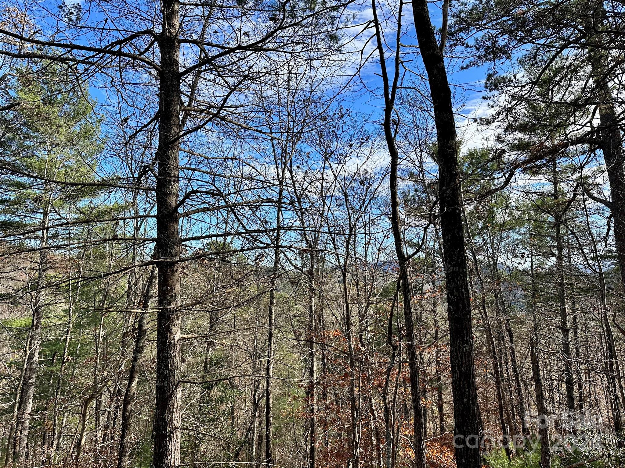 625 White Water Way Marshall NC 28753