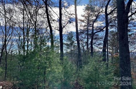 625 White Water Way Marshall NC 28753