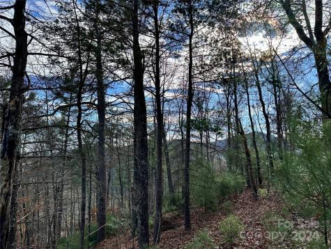 625 White Water Way Marshall NC 28753