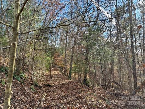 625 White Water Way Marshall NC 28753