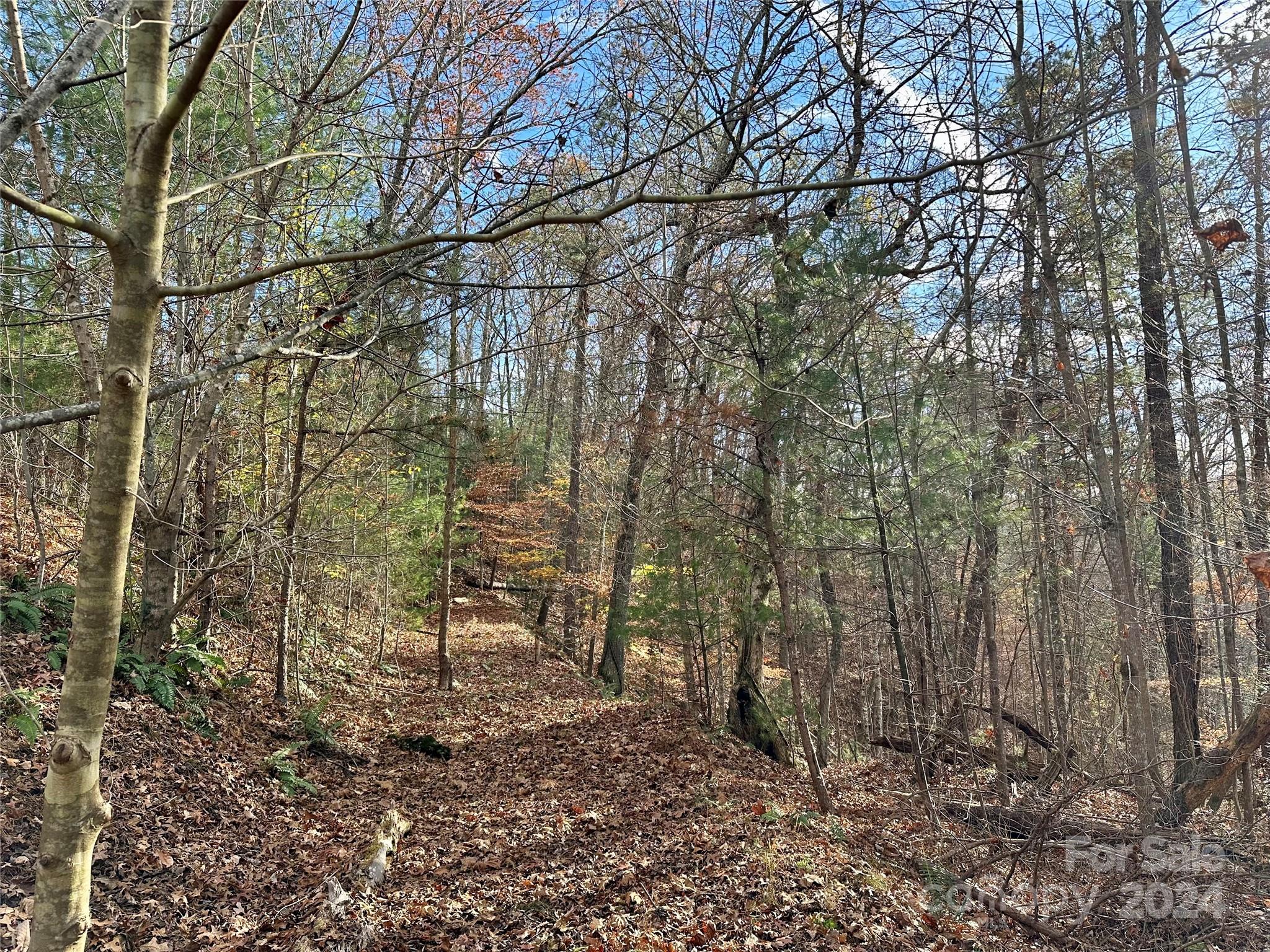 625 White Water Way Marshall NC 28753