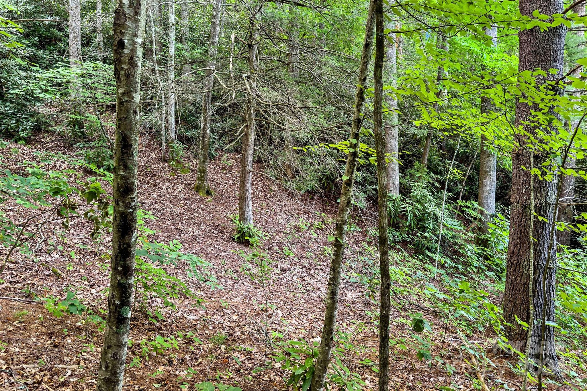 19 Cornerstone Way Swannanoa NC 28778
