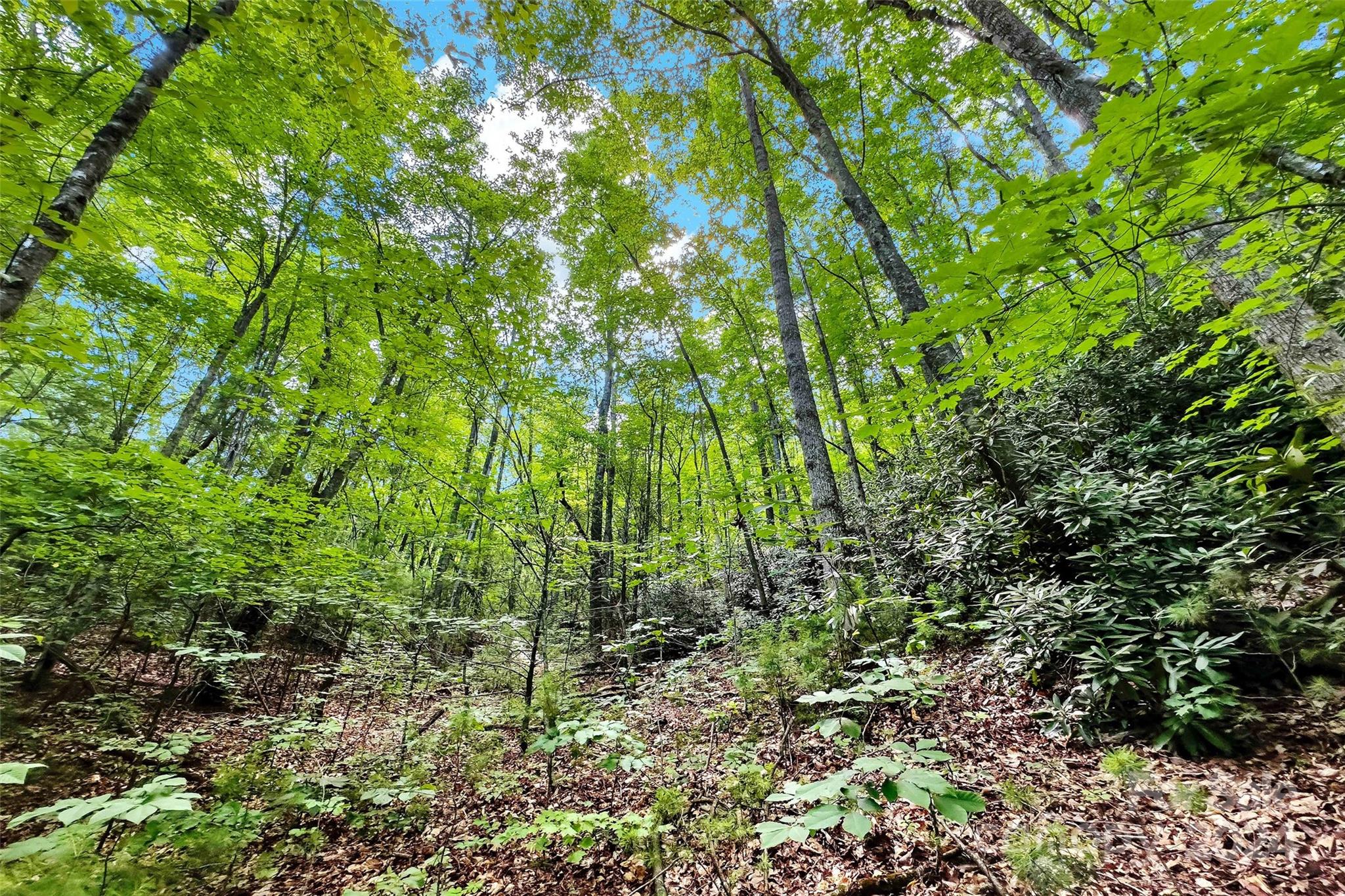 19 Cornerstone Way Swannanoa NC 28778