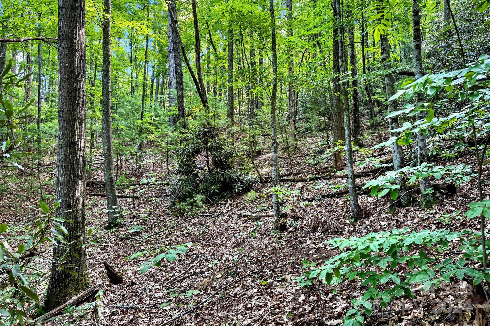 19 Cornerstone Way Swannanoa NC 28778