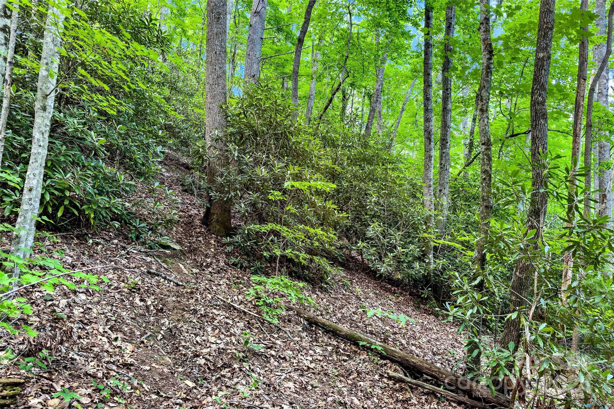 19 Cornerstone Way Swannanoa NC 28778