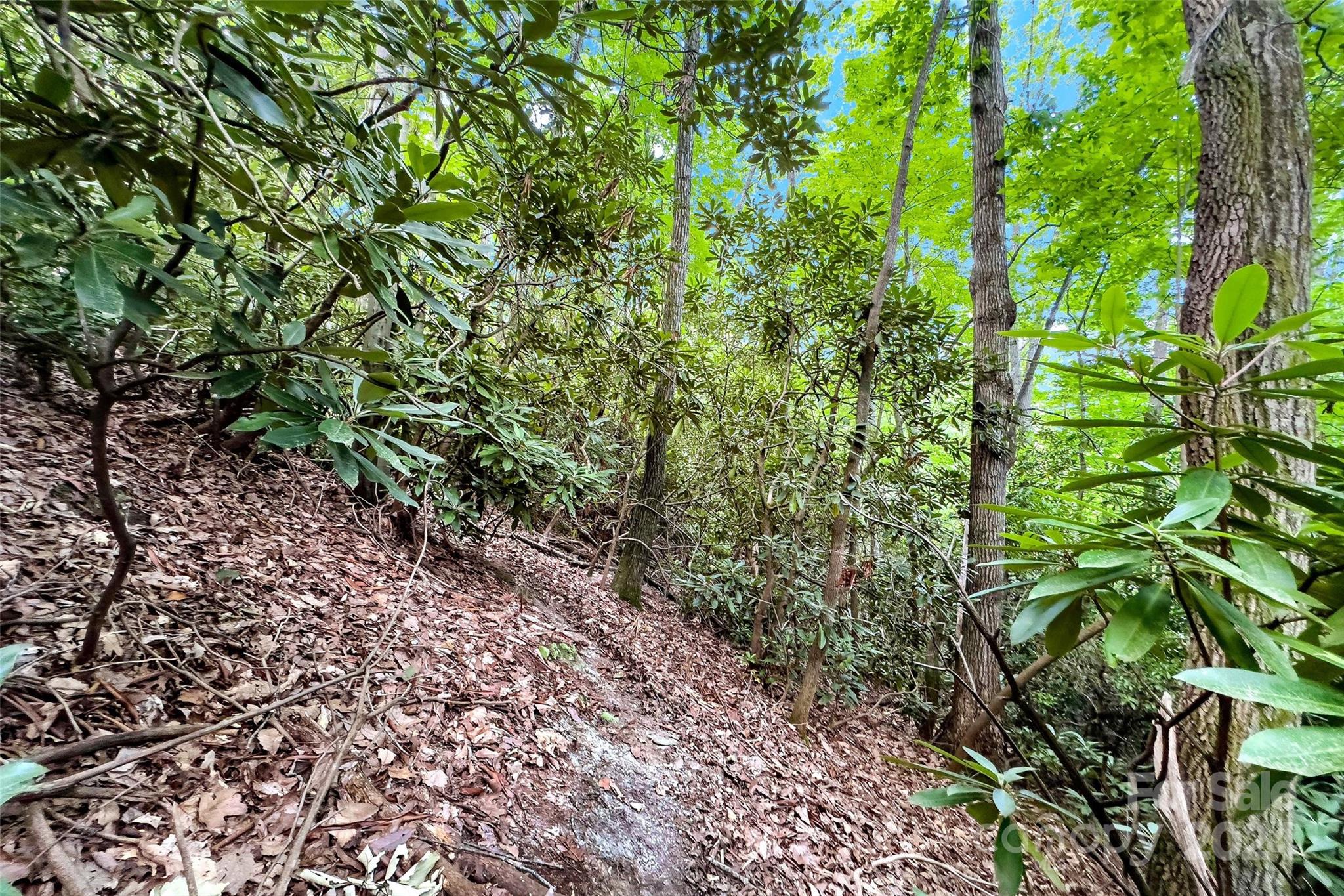 19 Cornerstone Way Swannanoa NC 28778