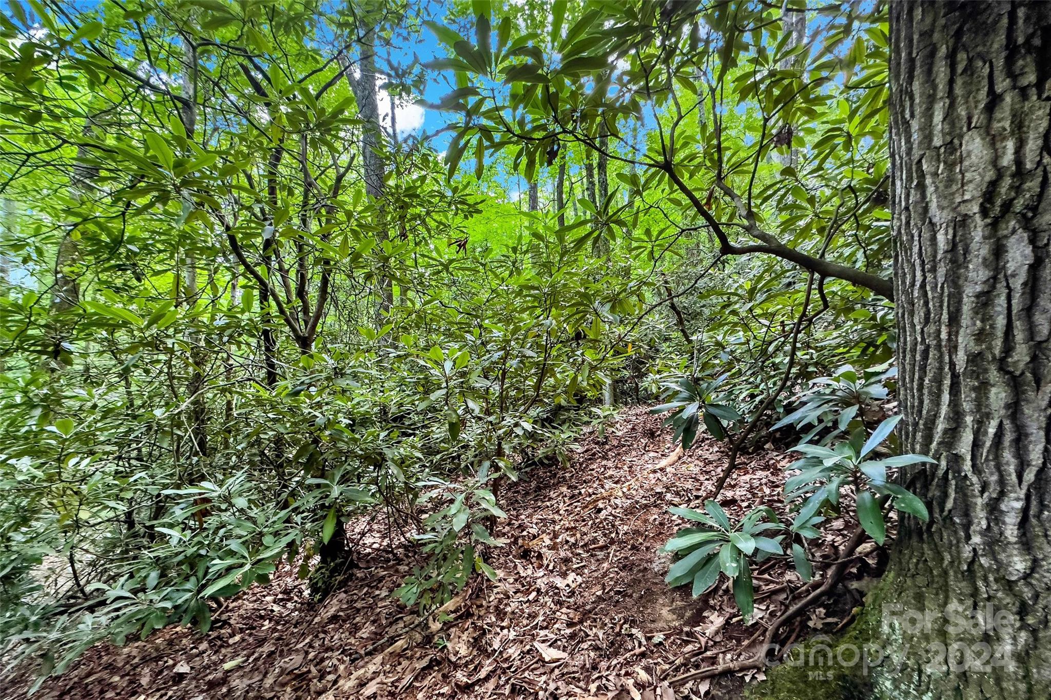 19 Cornerstone Way Swannanoa NC 28778