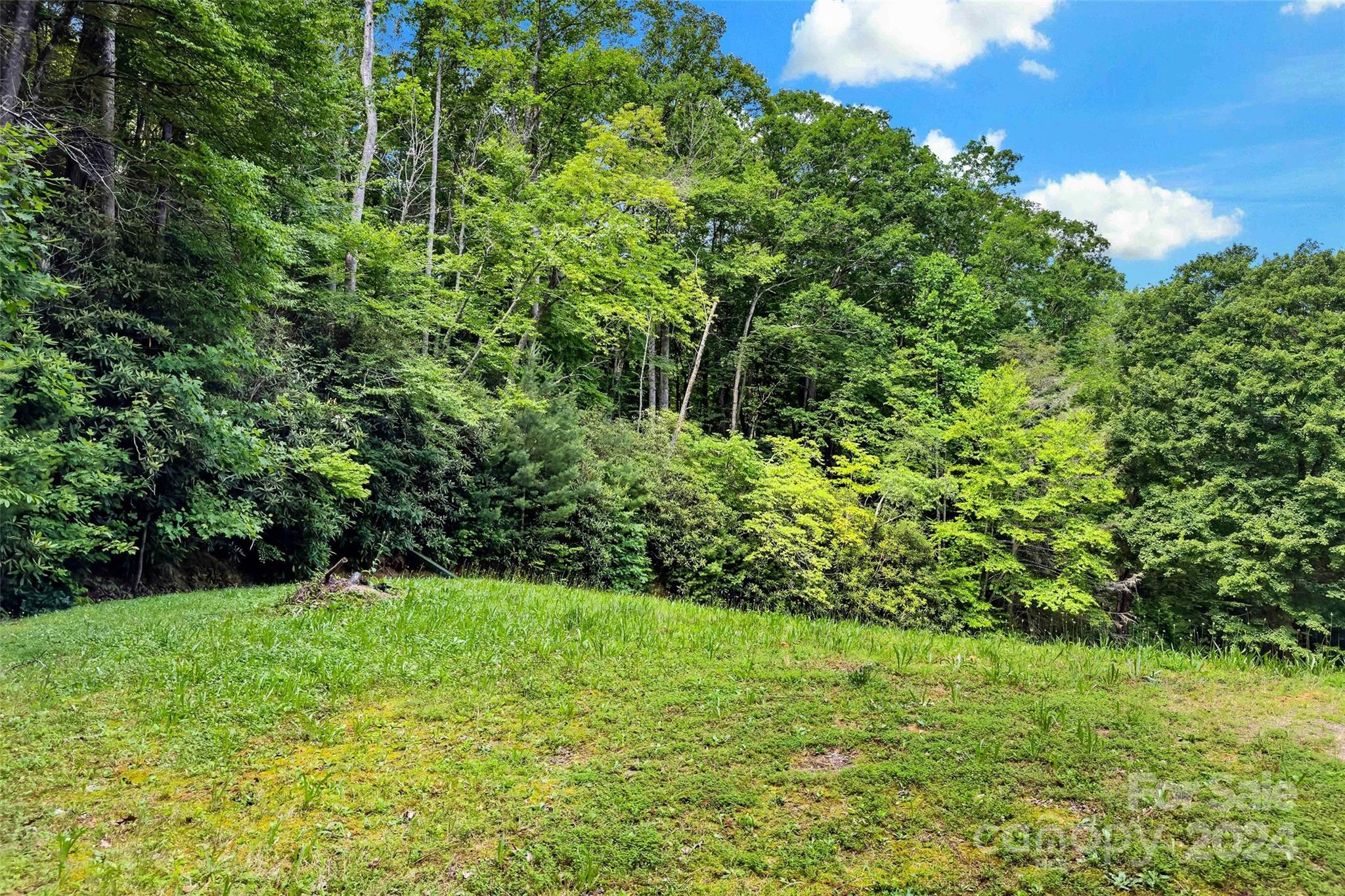 19 Cornerstone Way Swannanoa NC 28778