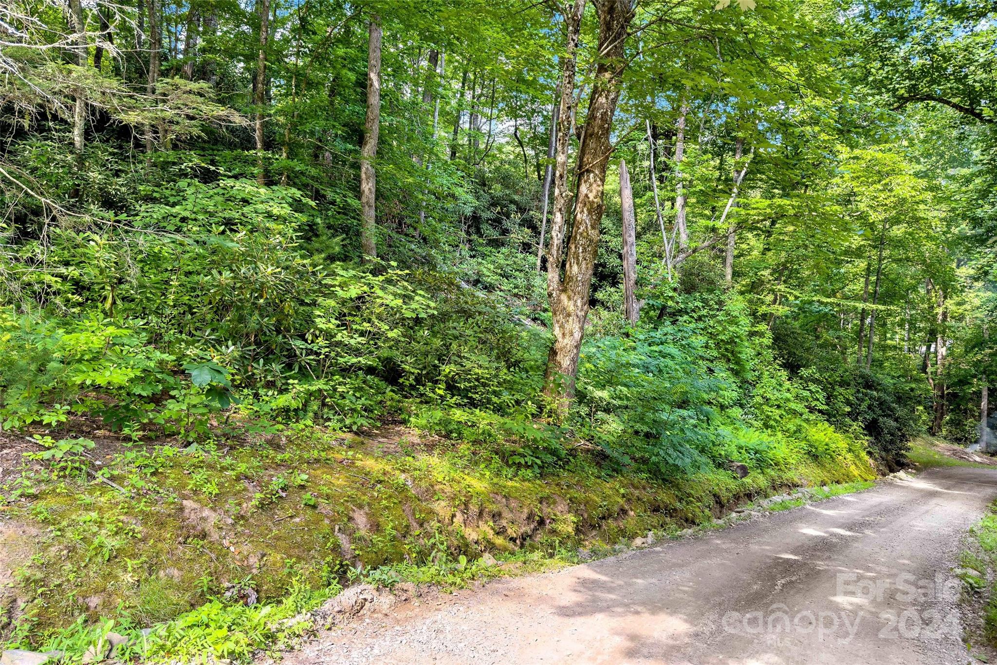 19 Cornerstone Way Swannanoa NC 28778