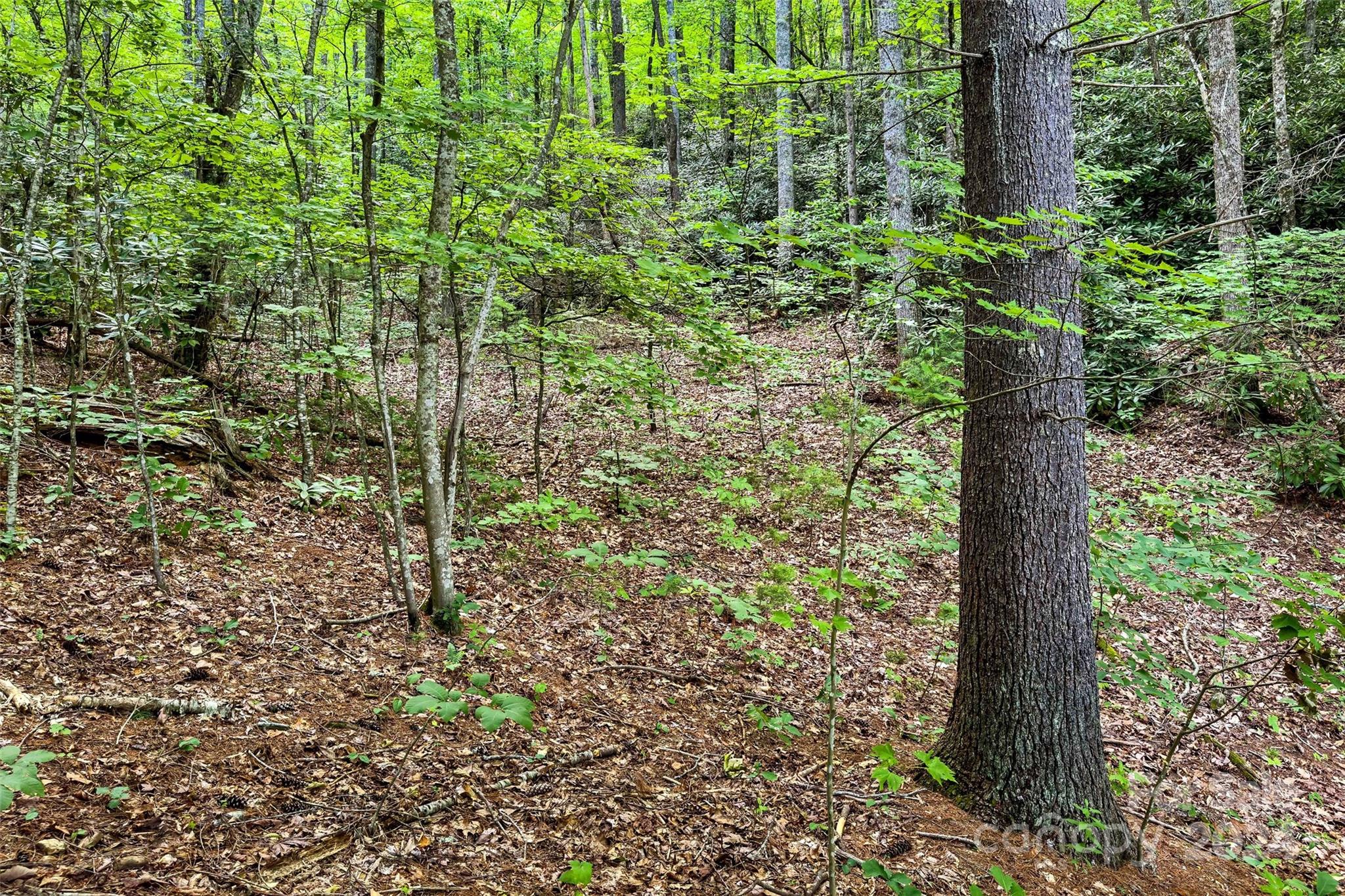 19 Cornerstone Way Swannanoa NC 28778