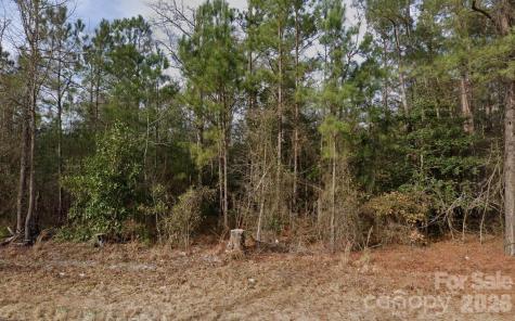 4233 Mount Misery Road NE Leland NC 28451