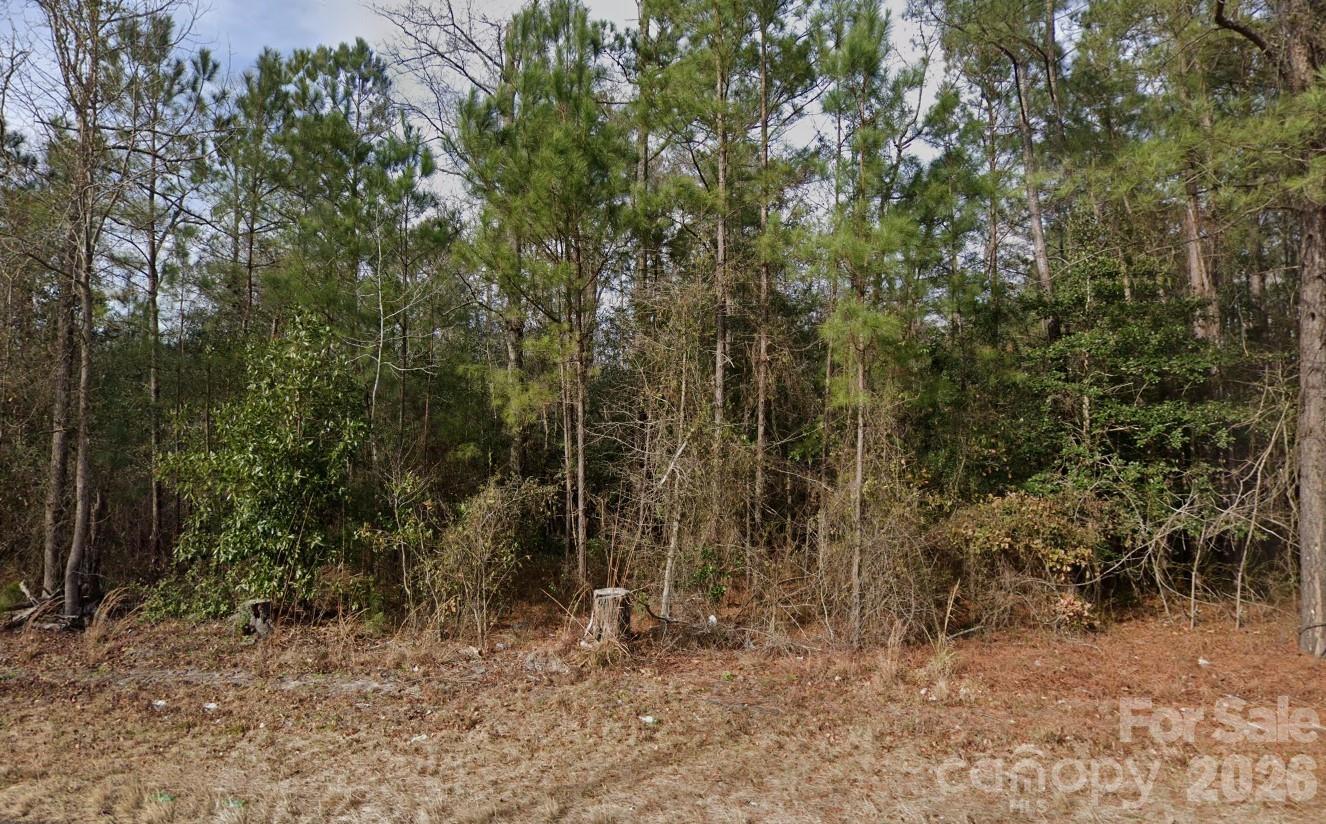 4233 Mount Misery Road NE Leland NC 28451