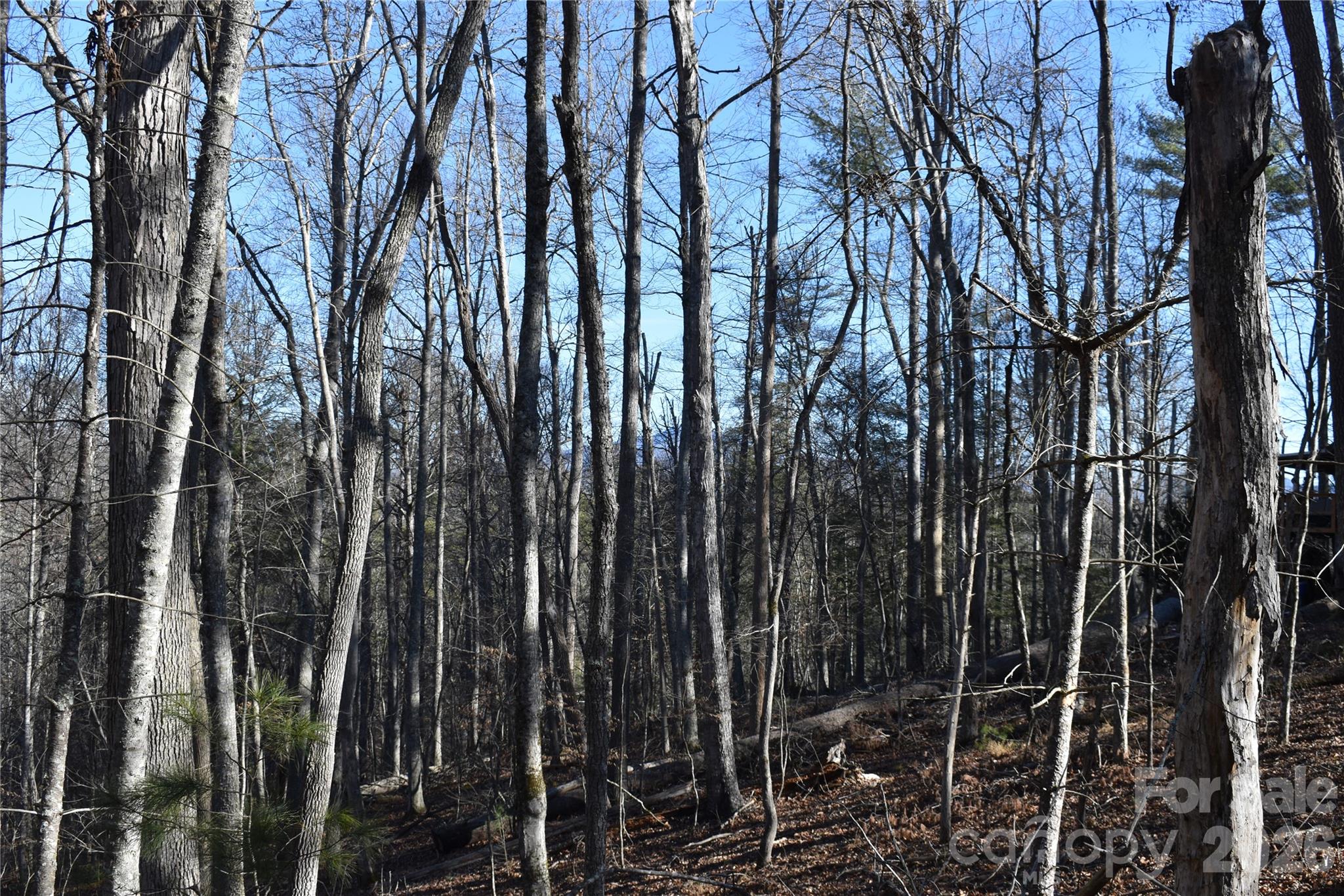 448 Sweetwater Road Green Mountain NC 28740
