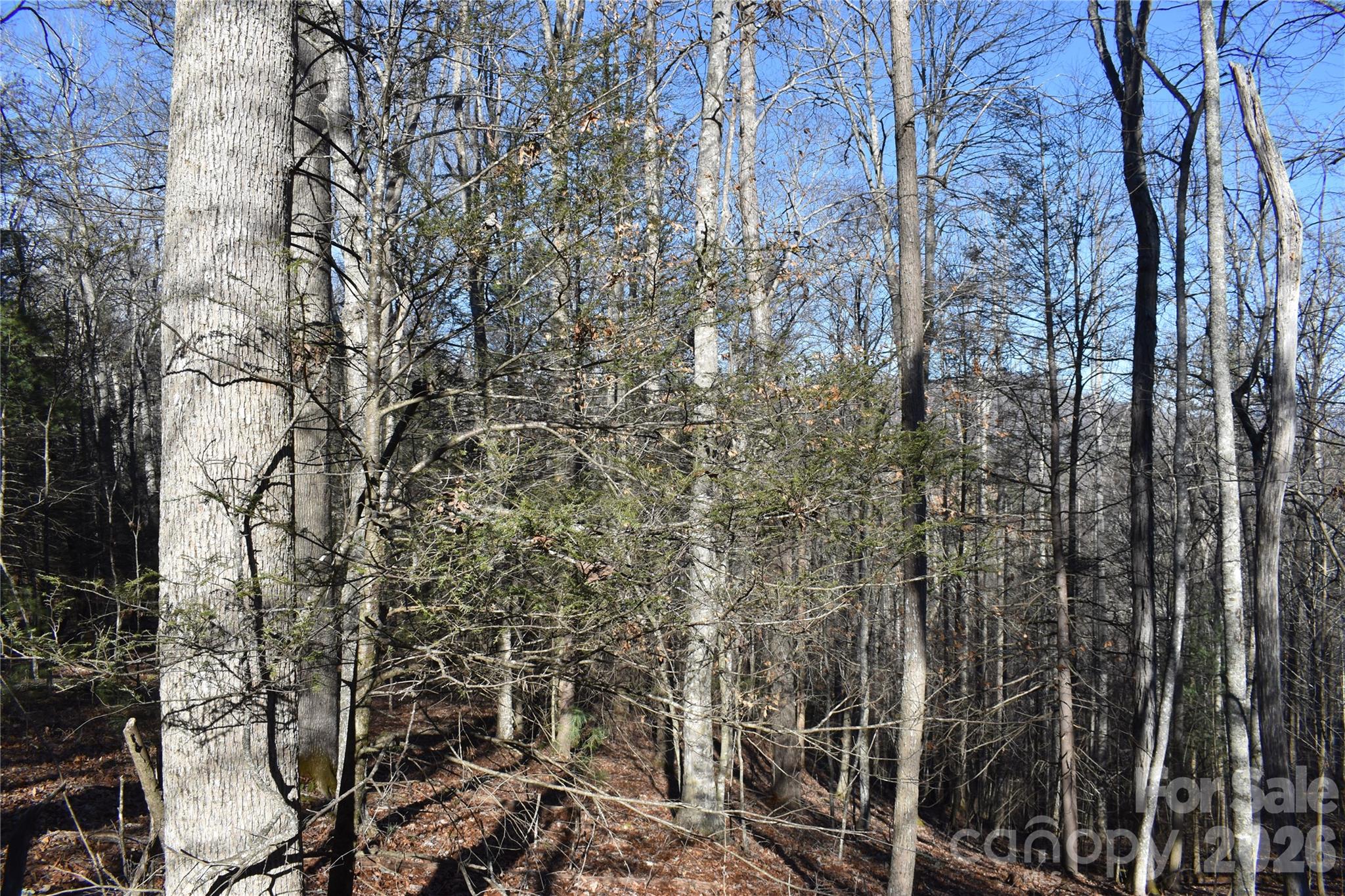 448 Sweetwater Road Green Mountain NC 28740