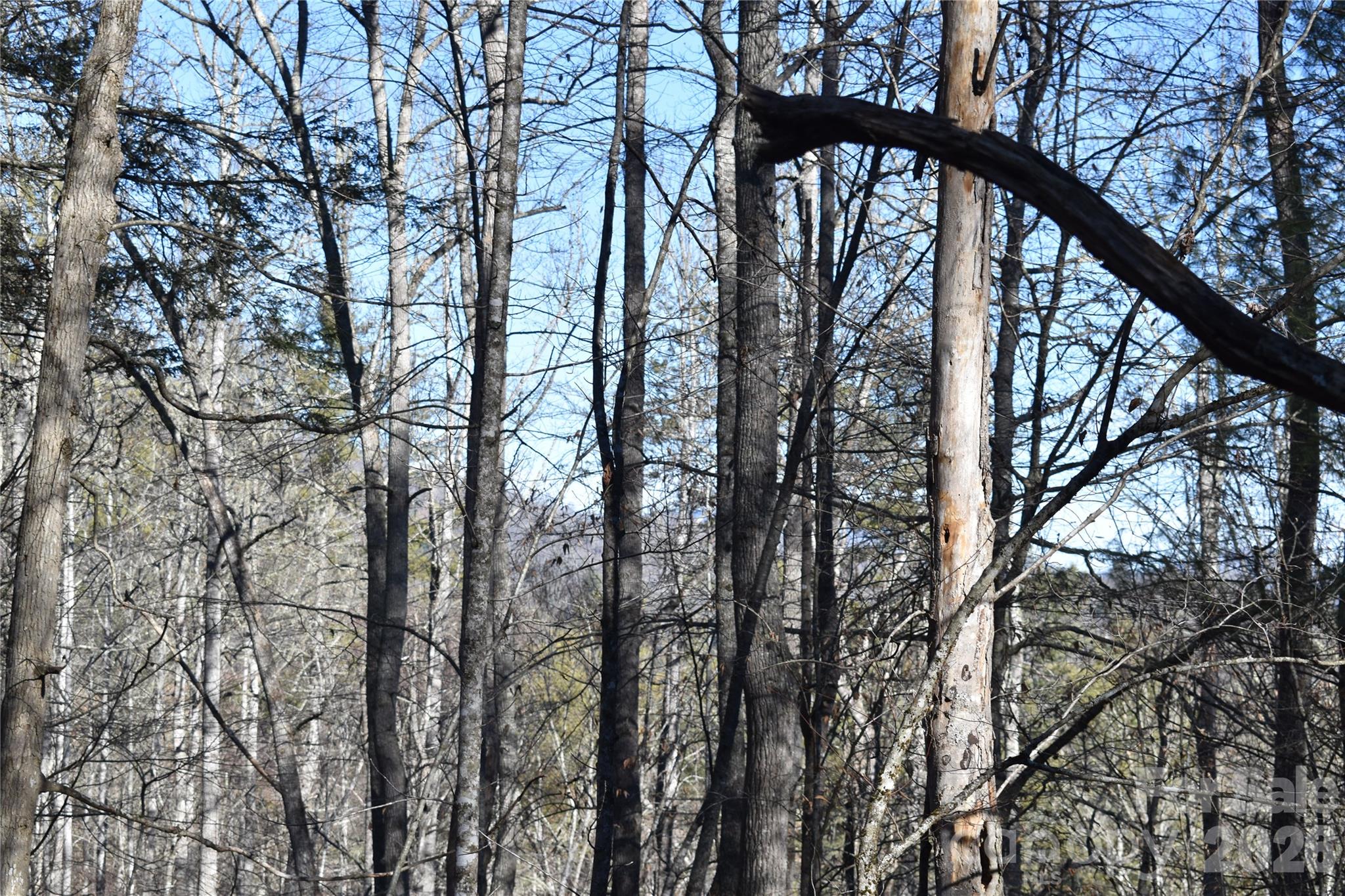 448 Sweetwater Road Green Mountain NC 28740
