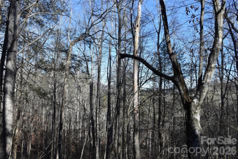 448 Sweetwater Road Green Mountain NC 28740