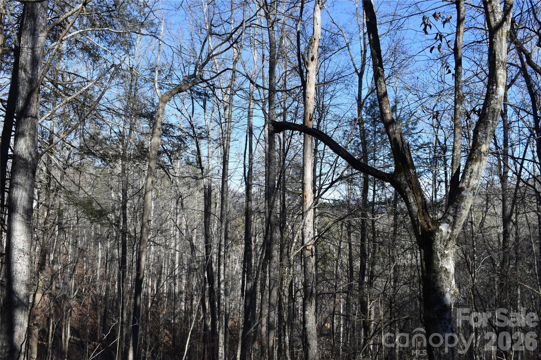 448 Sweetwater Road Green Mountain NC 28740