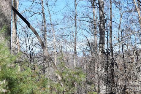448 Sweetwater Road Green Mountain NC 28740