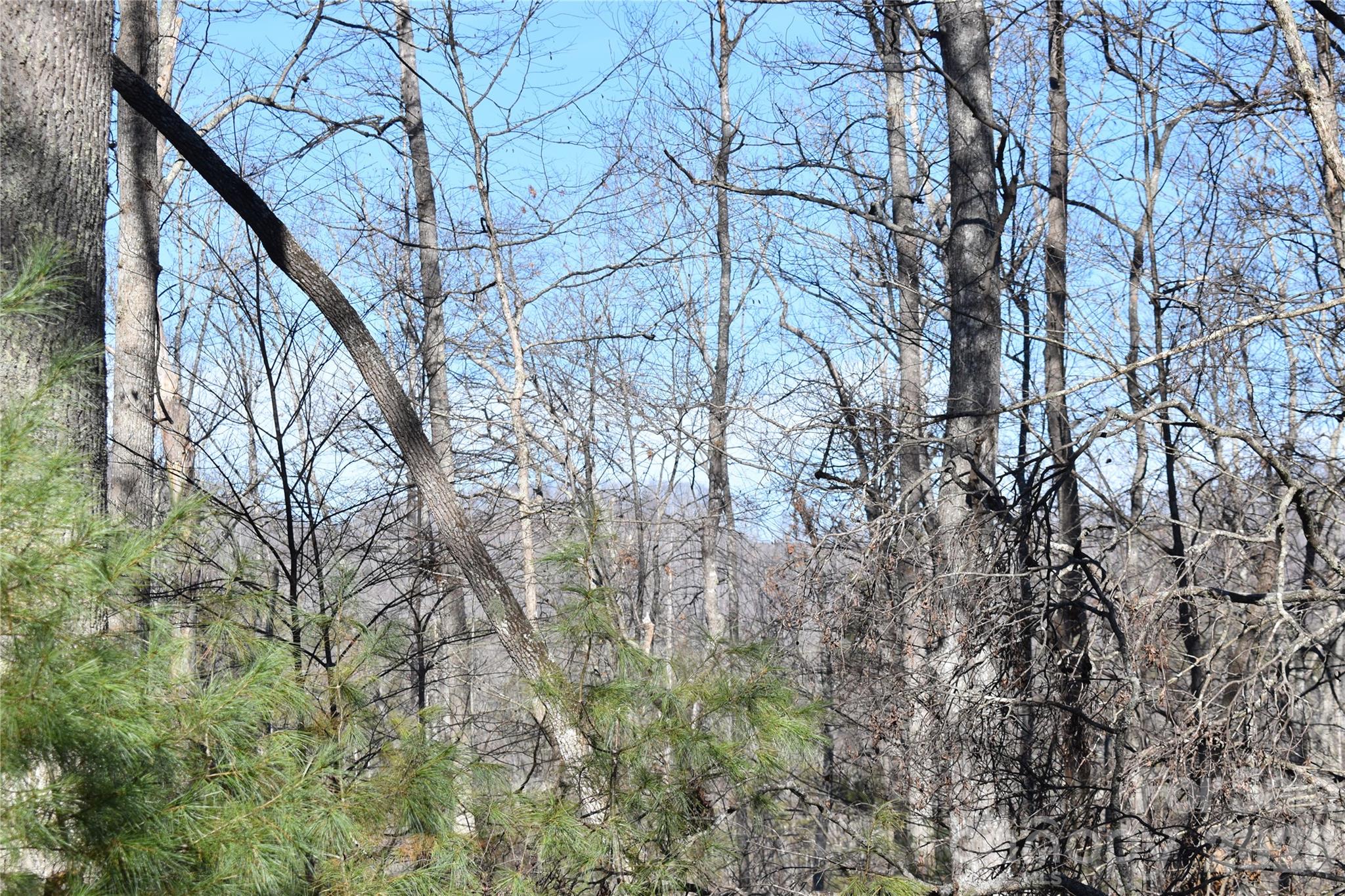 448 Sweetwater Road Green Mountain NC 28740