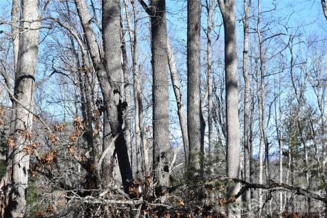 448 Sweetwater Road Green Mountain NC 28740