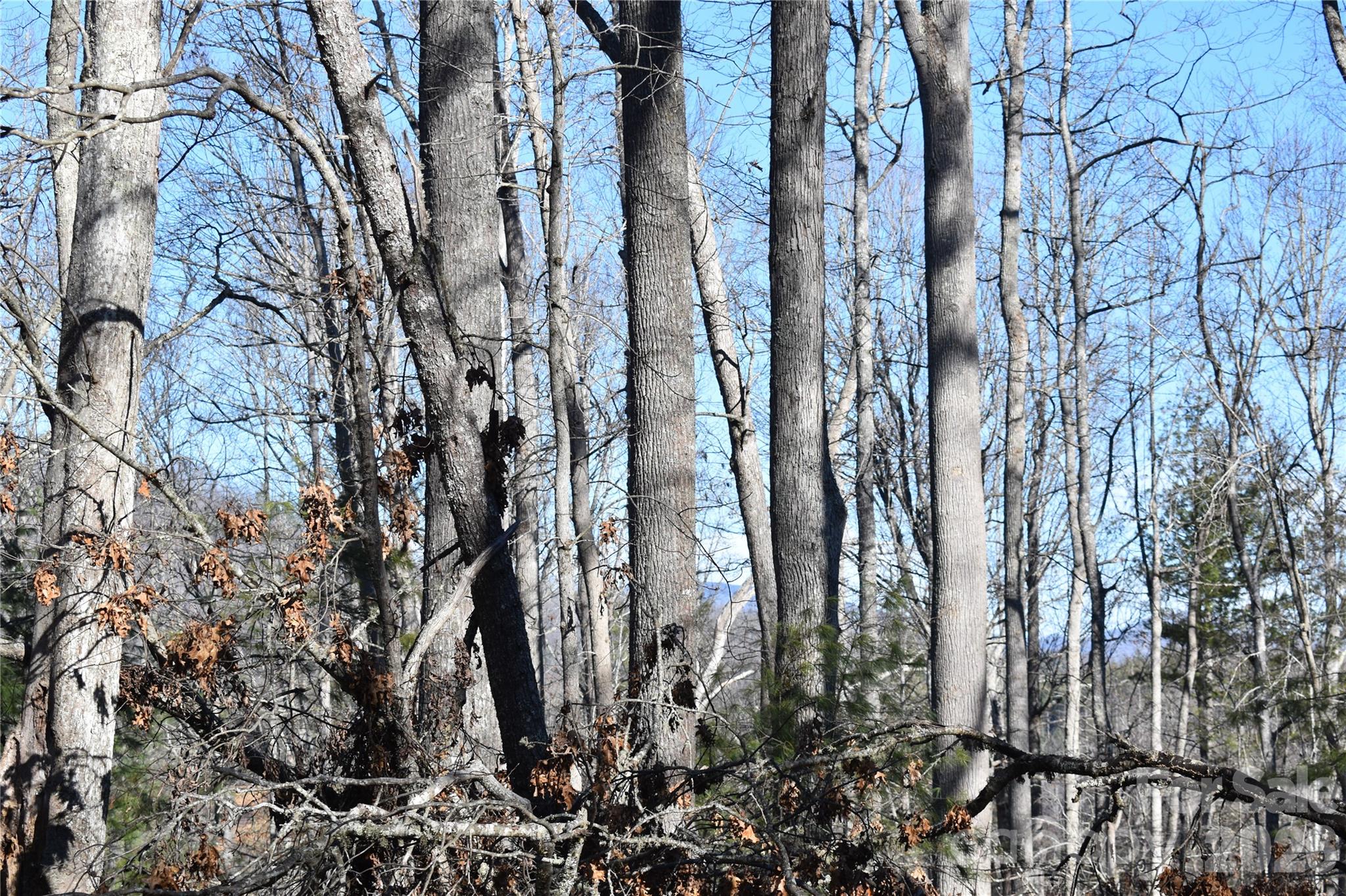 448 Sweetwater Road Green Mountain NC 28740