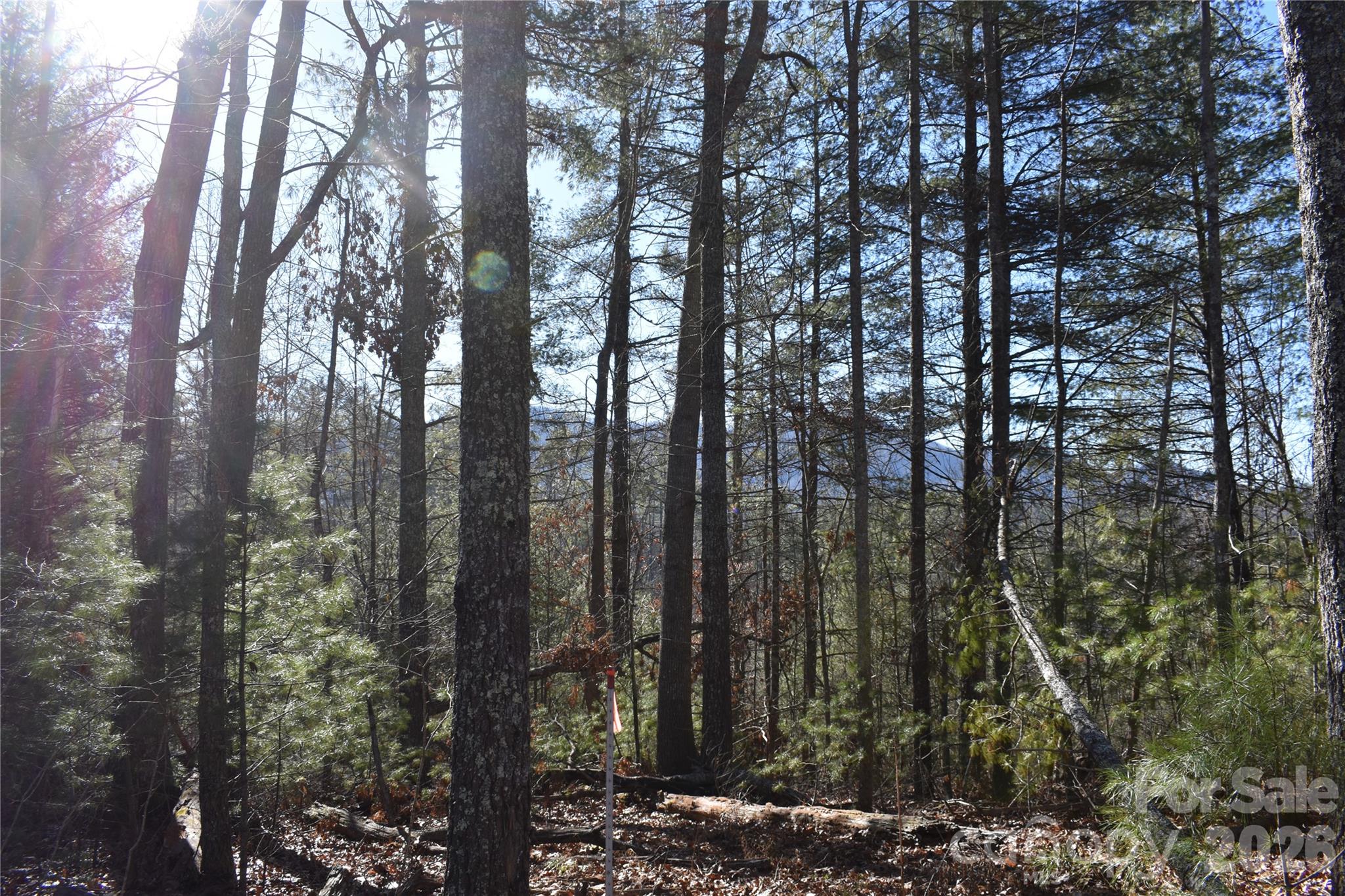 448 Sweetwater Road Green Mountain NC 28740