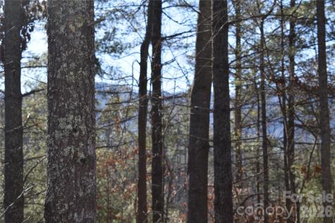 448 Sweetwater Road Green Mountain NC 28740