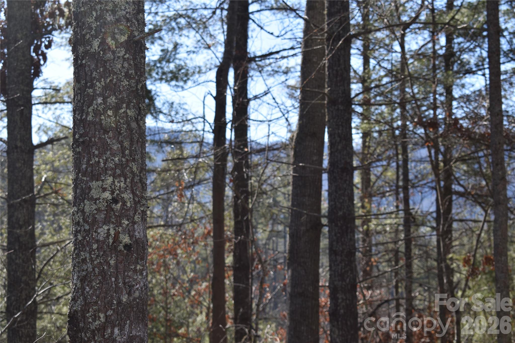 448 Sweetwater Road Green Mountain NC 28740