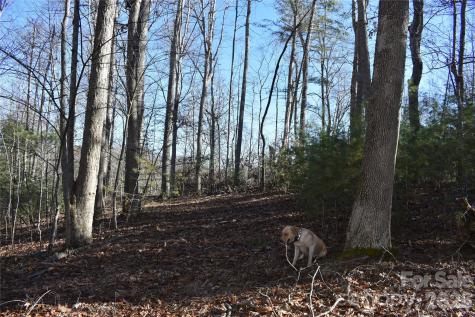 448 Sweetwater Road Green Mountain NC 28740