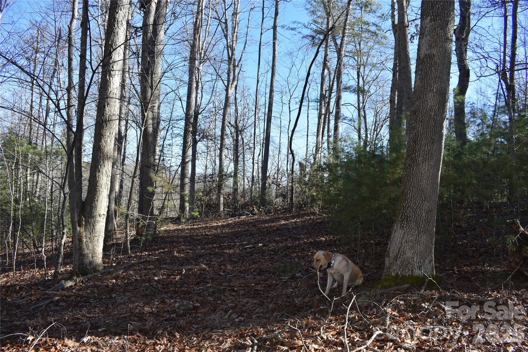 448 Sweetwater Road Green Mountain NC 28740