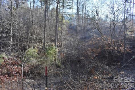 448 Sweetwater Road Green Mountain NC 28740