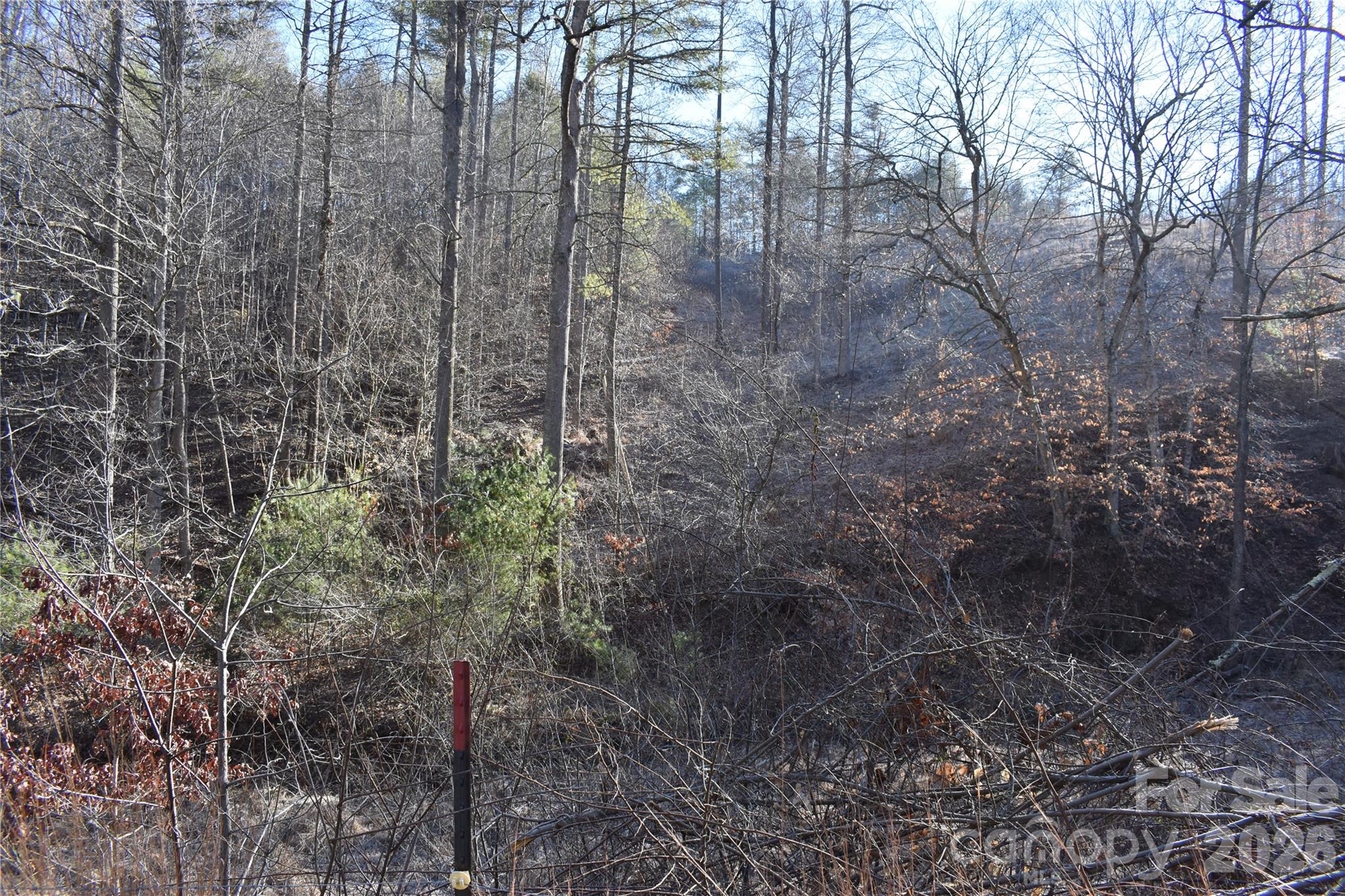 448 Sweetwater Road Green Mountain NC 28740