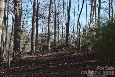 448 Sweetwater Road Green Mountain NC 28740