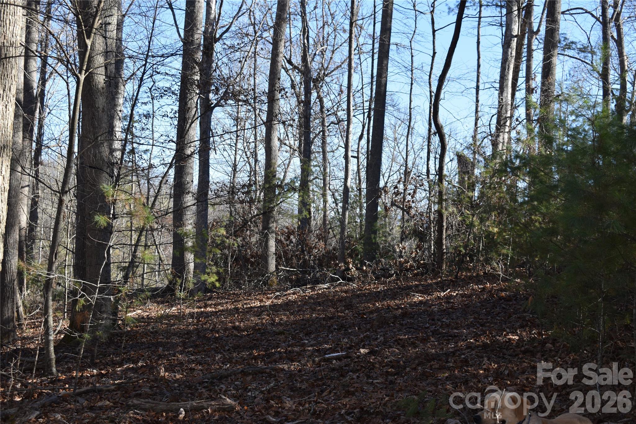448 Sweetwater Road Green Mountain NC 28740