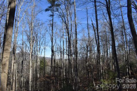 448 Sweetwater Road Green Mountain NC 28740