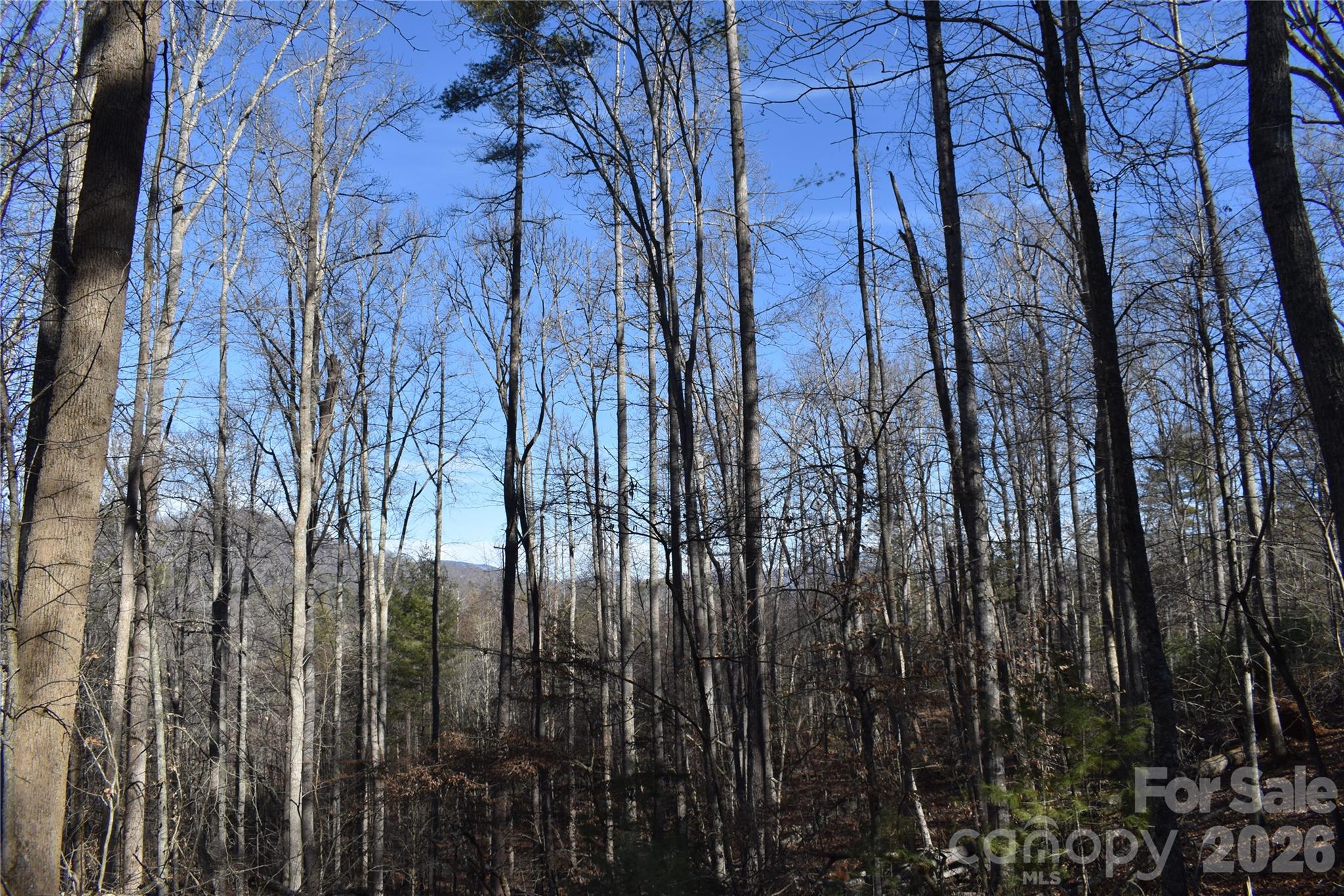 448 Sweetwater Road Green Mountain NC 28740