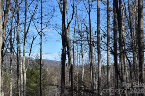 448 Sweetwater Road Green Mountain NC 28740