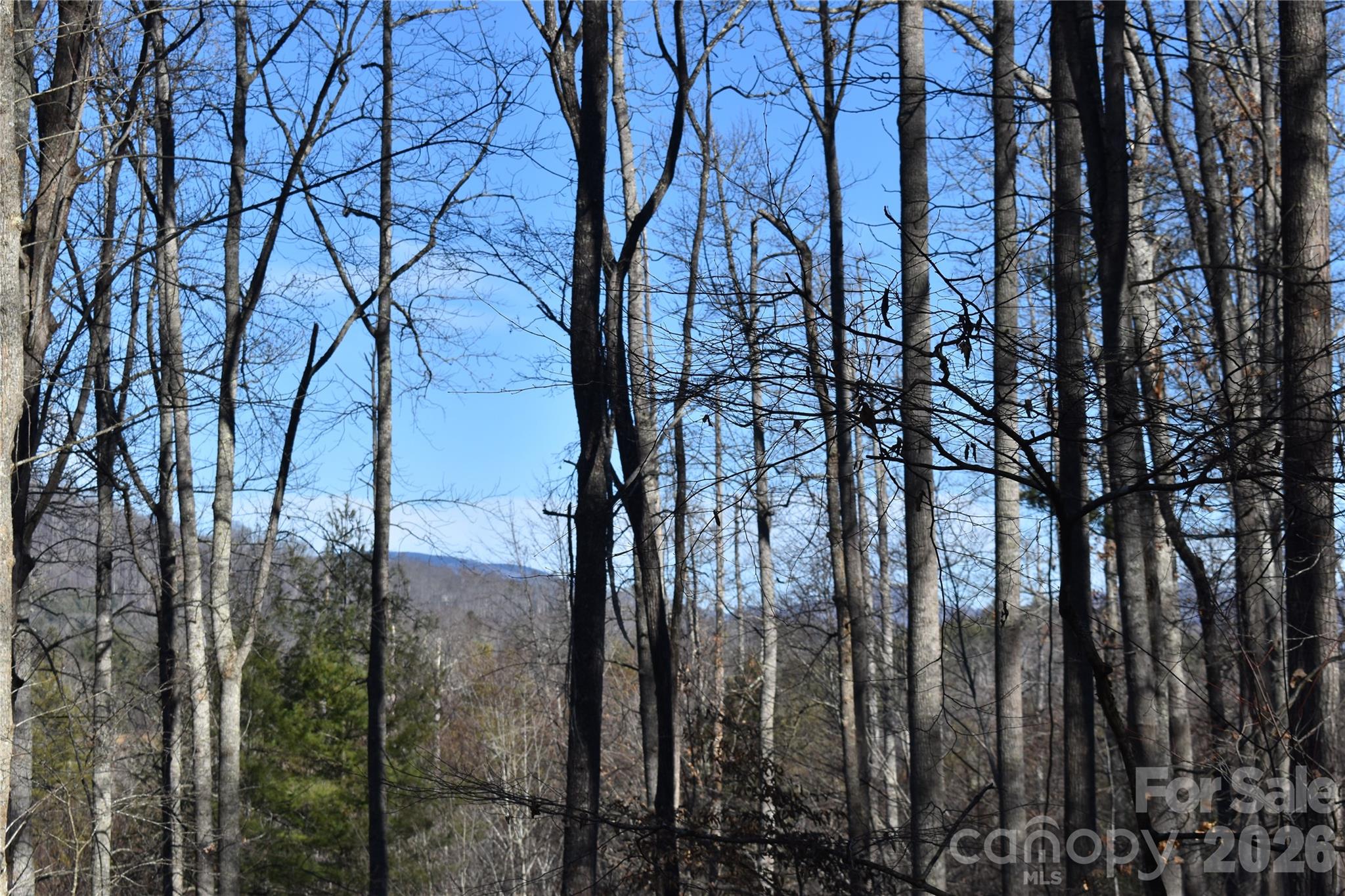 448 Sweetwater Road Green Mountain NC 28740